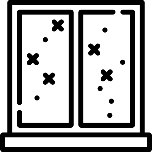Window