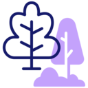 landscape,nature,trees,plant