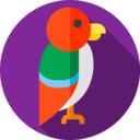 animals,wild life,animal kingdom,zoo,bird,animal,parrot ok 