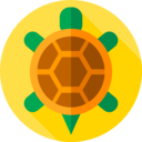 animals,pet,reptile,turtle,amphibian,Tortoise ok 