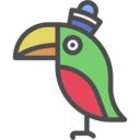 animals,pet,animal,parrot,wings,pirate ok 