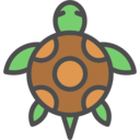 animals,pet,reptile,amphibian,Tortoise ok 