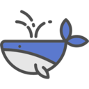 animals,mammal,wild life,sea life,whale,oceanic ok 