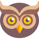 animals,bird,animal,owl,hunter
