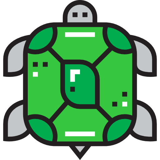 Tortoise