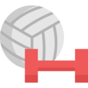 sports and competition,sport,equipment,ball,dumbbell,volleyball ok 