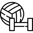 sports and competition,sport,equipment,ball,dumbbell,volleyball ok 