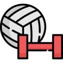 sports and competition,sport,equipment,ball,dumbbell,volleyball