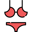 femenine,fashion,underwear,panties,knickers,bra,brassiere,lingerie,thong ok 