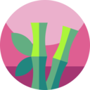 nature,branch,plant,botanical,tree,leaf,forest,bamboo