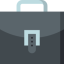 business and finance,business,bag,professional,briefcase,work,job,businessman,portfolio,suitcase