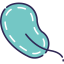 Bacteria icon 64x64