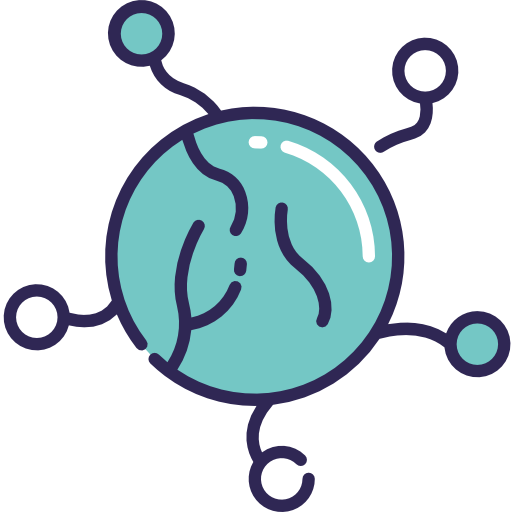 Bacteria