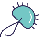 virus,education,science,biology,bacteria,coccus,staphylococcus ok 