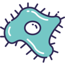 virus,education,science,biology,bacteria,coccus ok 