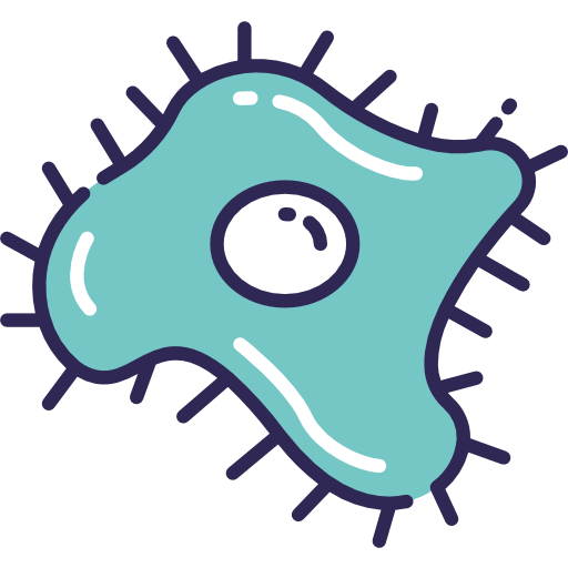 Coccus