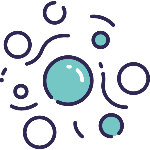 Bacteria
