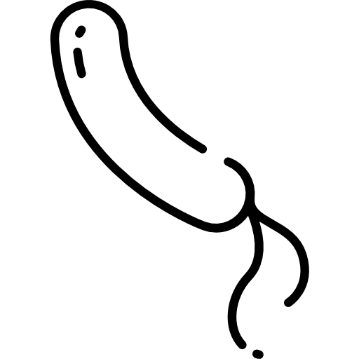 Organism