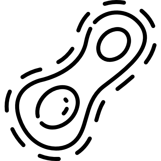 Coccus