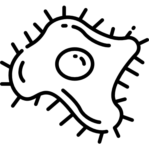 Coccus