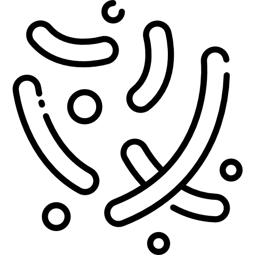 Coccus