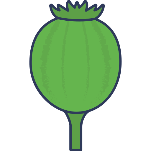 Opium