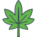 healthcare and medical,leaf,drug,Weed,Cannabis,Marijuana