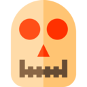 education,science,skull,skeleton,anthropology