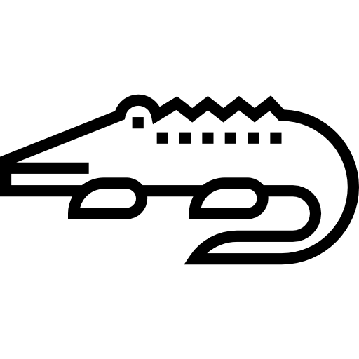 Crocodile