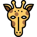 animals,mammal,wildlife,zoo,animal,africa,wild,giraffe