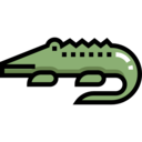 animals,wildlife,animal kingdom,zoo,reptile,animal,holidays,wild,crocodile