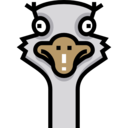 animals,wild life,animal kingdom,zoo,animal,ostrich