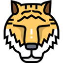 animals,mammal,wildlife,asia,zoo,animal,wild,tiger ok 