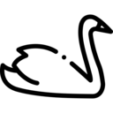 animals,pet,bird,animal,swan ok 
