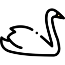 animals,pet,bird,animal,swan