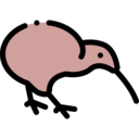 animals,pet,bird,animal,kiwi