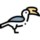animals,pet,bird,animal,hornbill