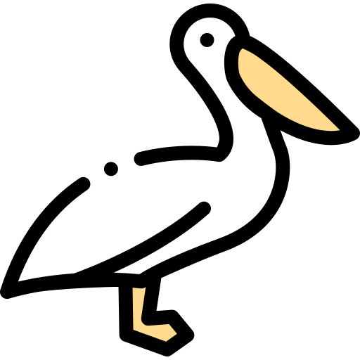 Pelican