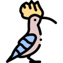 animals,pet,bird,animal,hoopoe