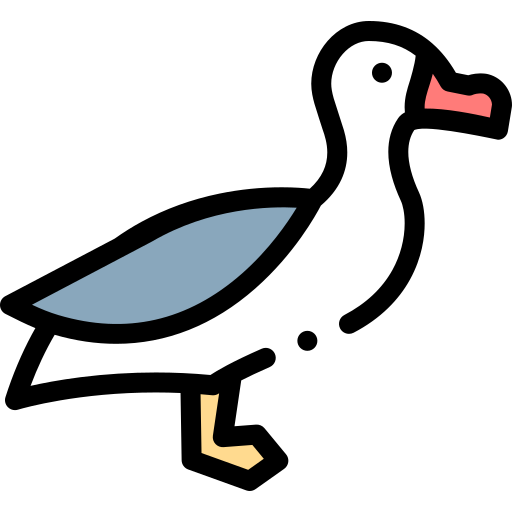 Albatross