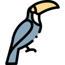 animals,pet,bird,animal,toucan