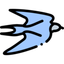 animals,bird,animal,ornithology,swallow