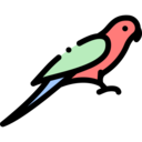 animals,pet,bird,animal,parrots
