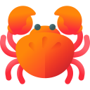 animals,wildlife,beach,nature,animal,zoology,sea,crab