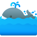 animals,mammal,wildlife,nature,wild life,animal kingdom,sea life,ocean,whale,sea