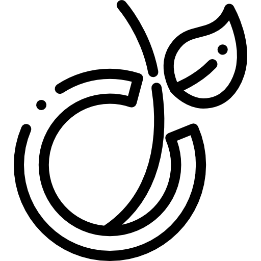 Viadeo