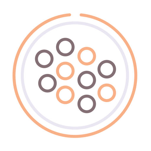 Bacteria