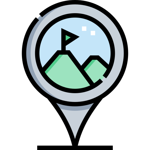 Pin