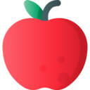 vegan,healthy food,food and restaurant,organic,diet,vegetarian,fruit,apple ok 