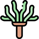 wellness,relax,bath,treatment,spa,sauna,whisk